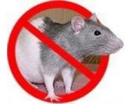 Уничтожители  мышей-крыс
